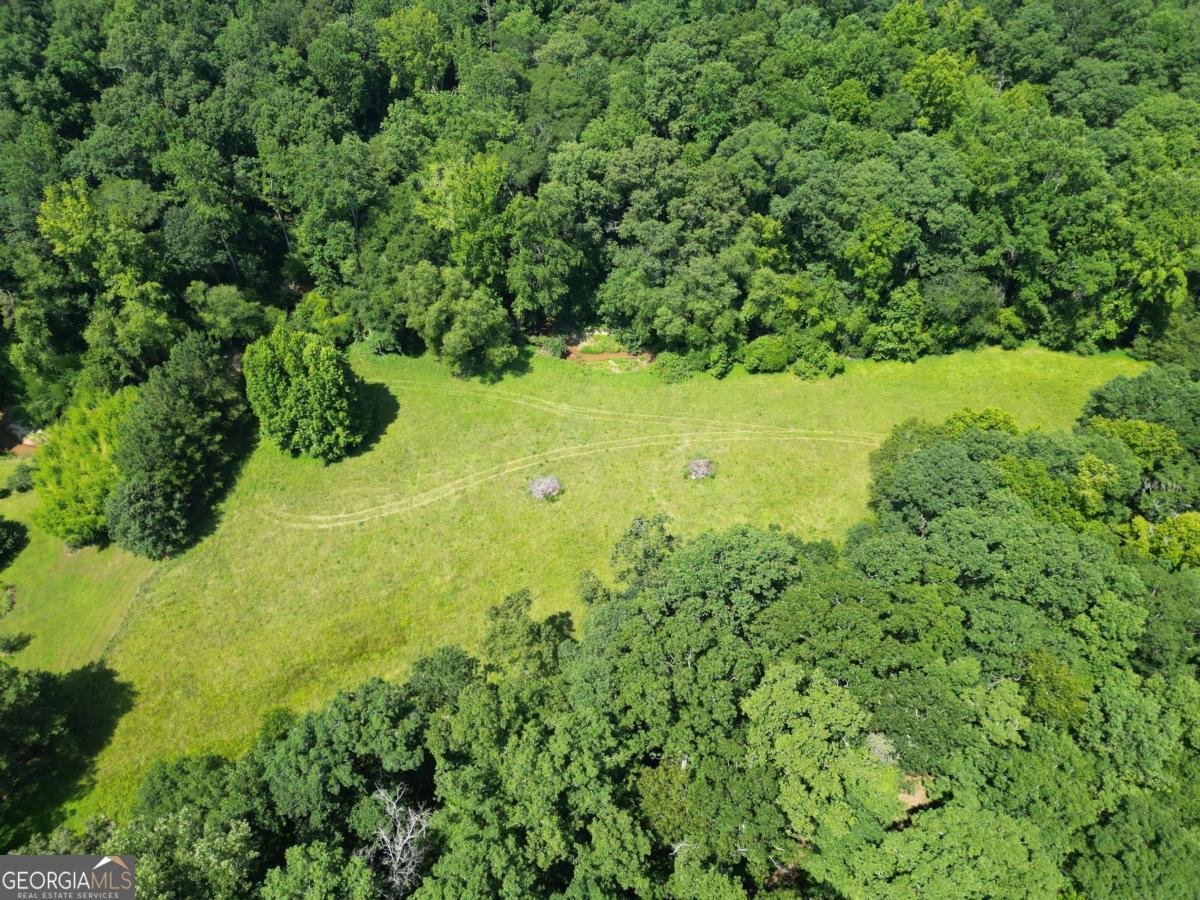 1350 Wildcat Ridge Road Watkinsville - 49
