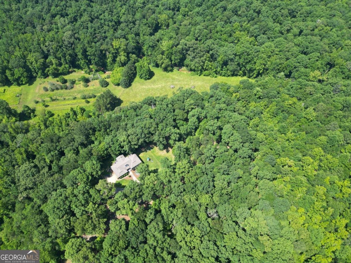 1350 Wildcat Ridge Road Watkinsville - 50