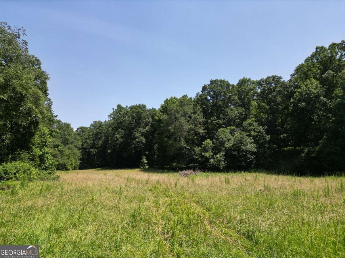 1350 Wildcat Ridge Road Watkinsville - 53