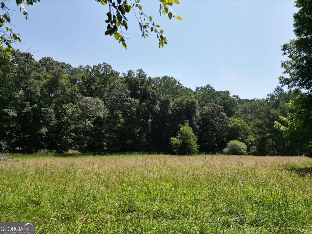 1350 Wildcat Ridge Road Watkinsville - 54