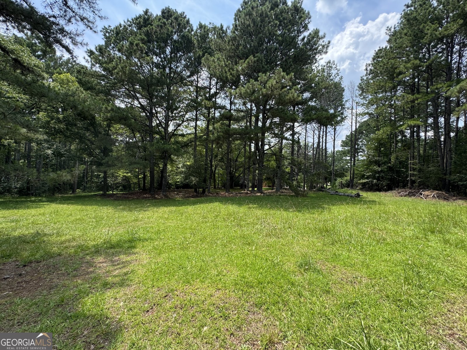 1250 Chaddwyck Drive Athens - 53