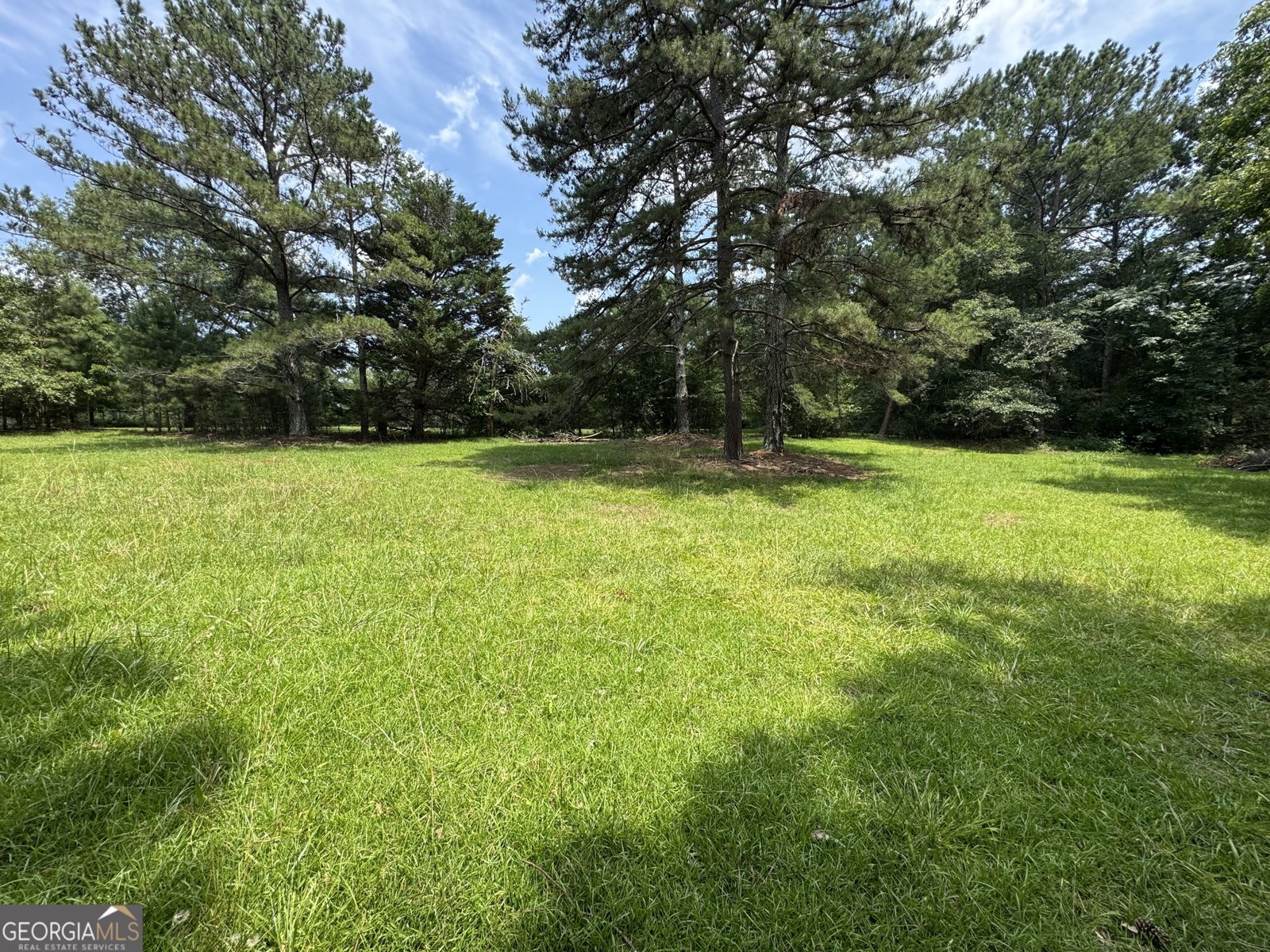 1250 Chaddwyck Drive Athens - 56