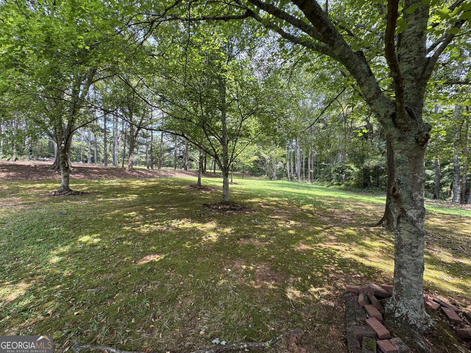 1250 Chaddwyck Drive Athens - 57