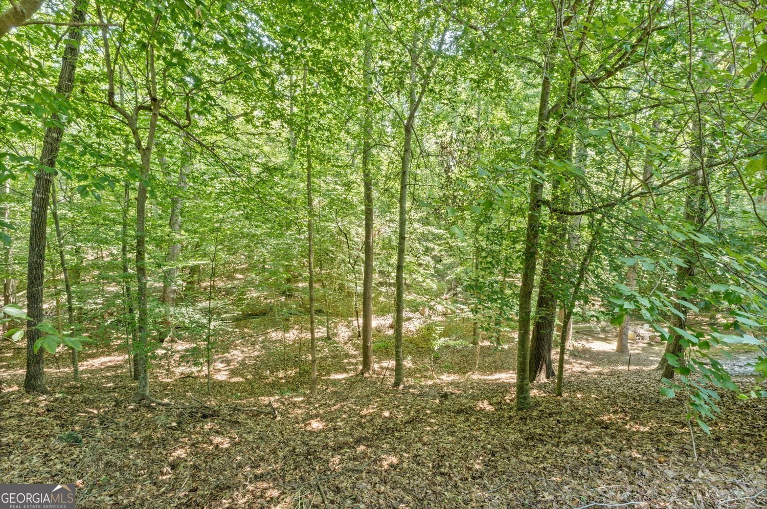7090 River Island Circle Buford - 44