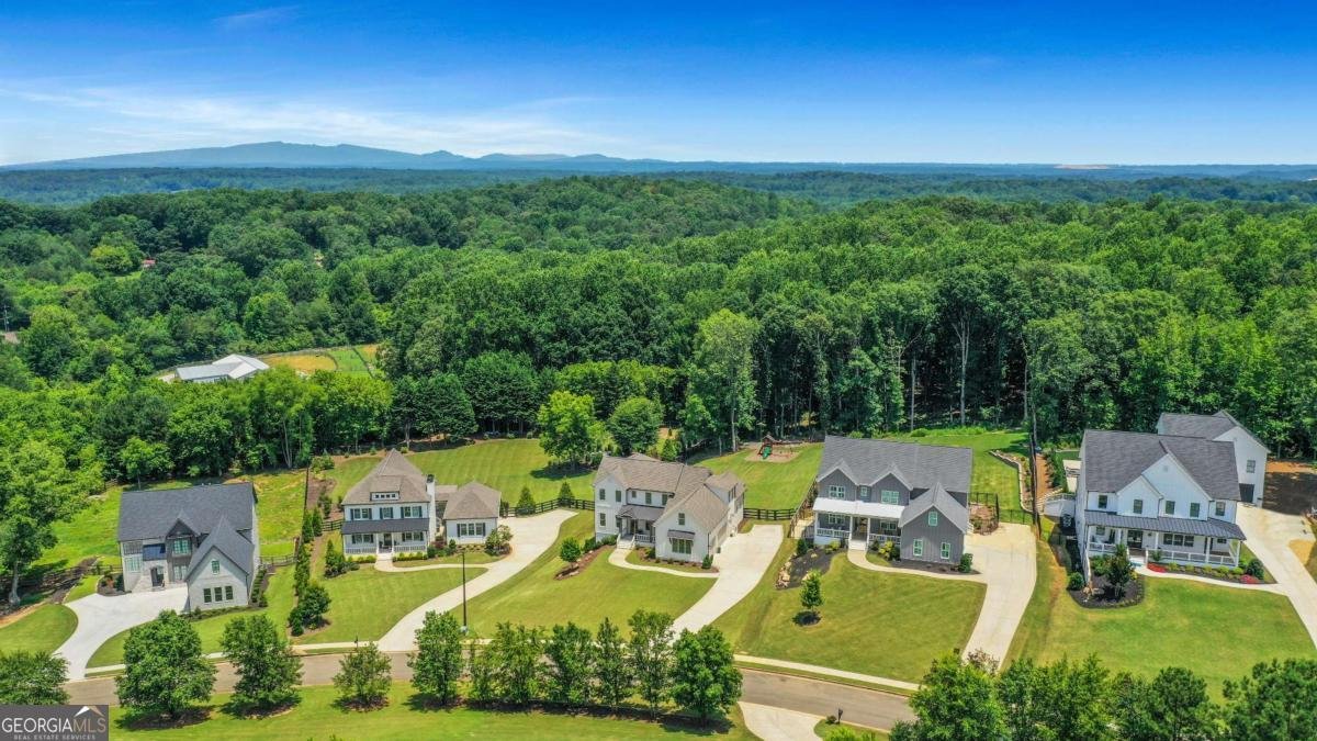115 Ivy Meadow Court Ball Ground - 40