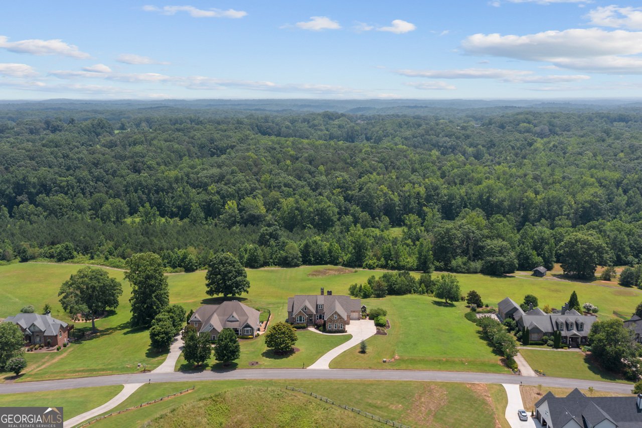 387 Gold Bullion Drive Dawsonville - 4
