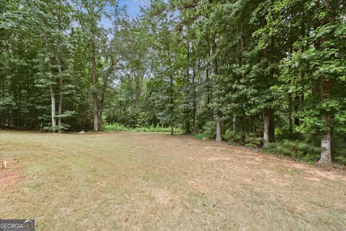 6086 Kingston Drive Douglasville - 58