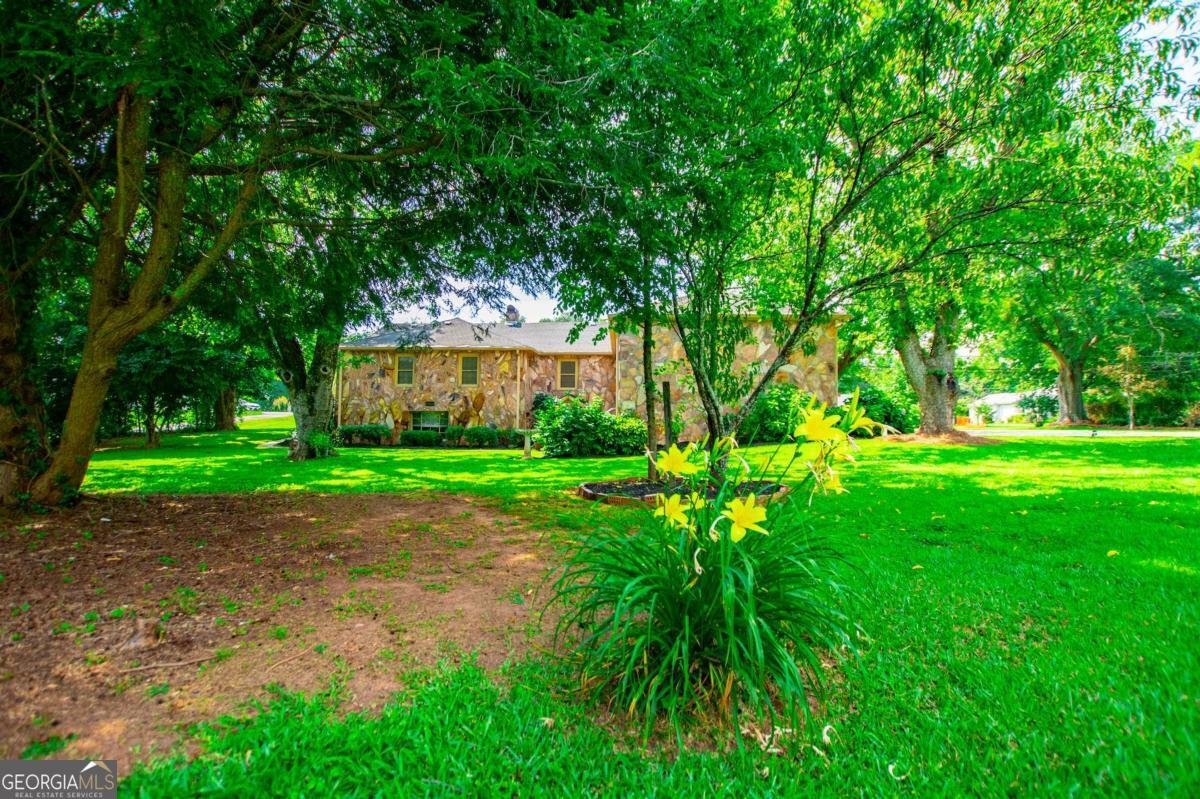 508 College Street Bowdon - 54