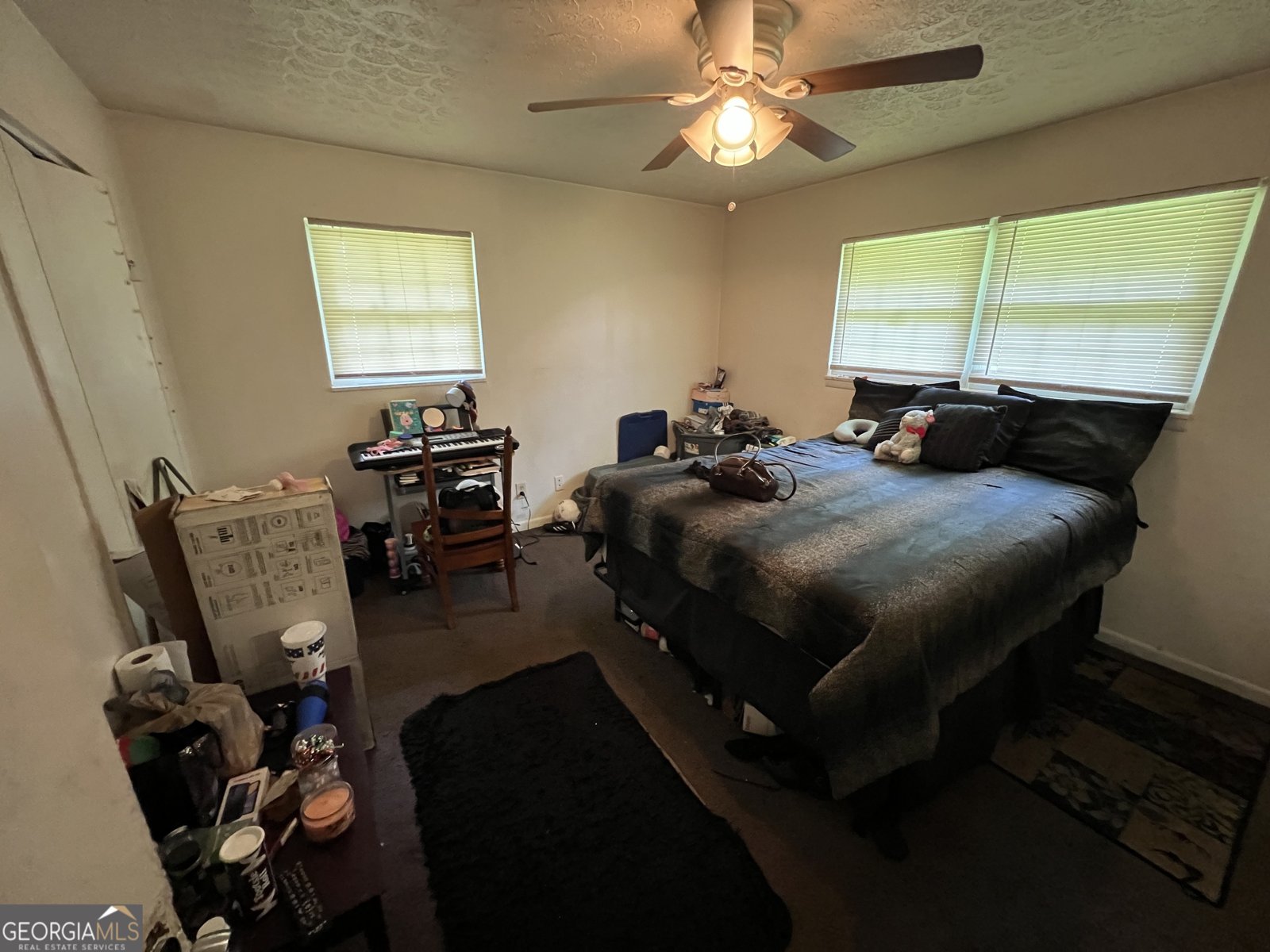 3929 Rockey Valley Drive Conley - 12