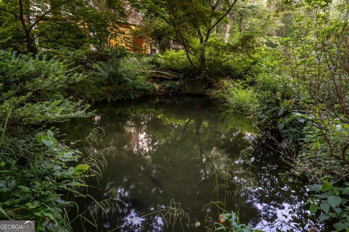 3515 Mulky Gap Road Blairsville - 24