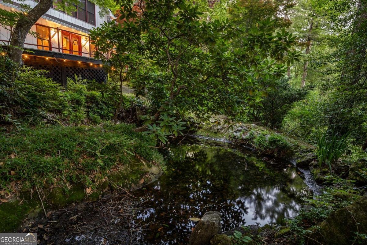 3515 Mulky Gap Road Blairsville - 25