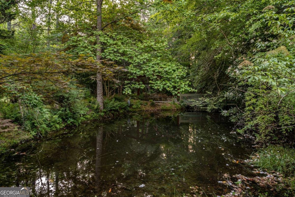 3515 Mulky Gap Road Blairsville - 31