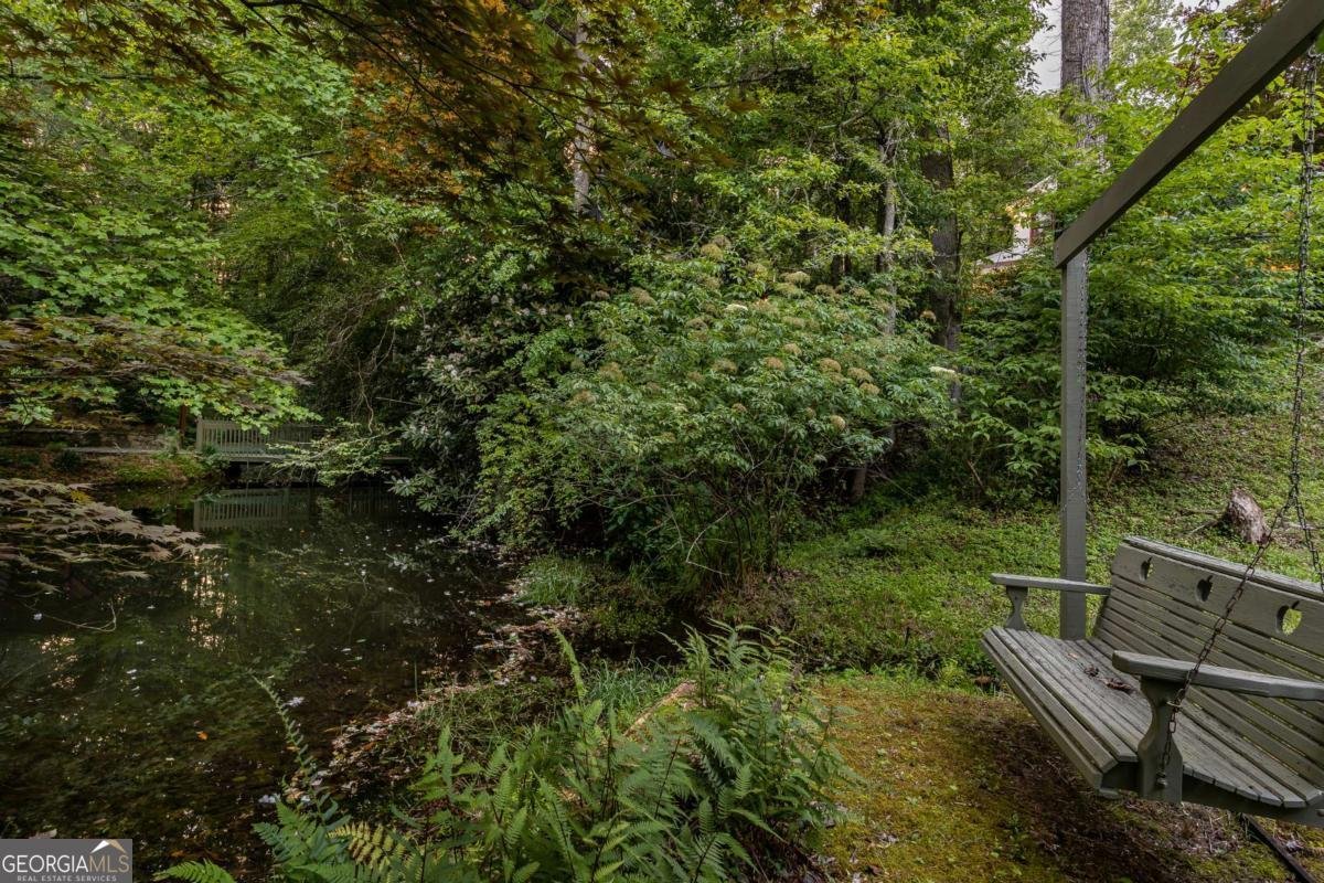 3515 Mulky Gap Road Blairsville - 32