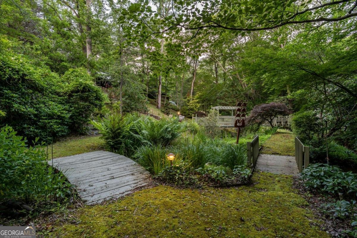 3515 Mulky Gap Road Blairsville - 33