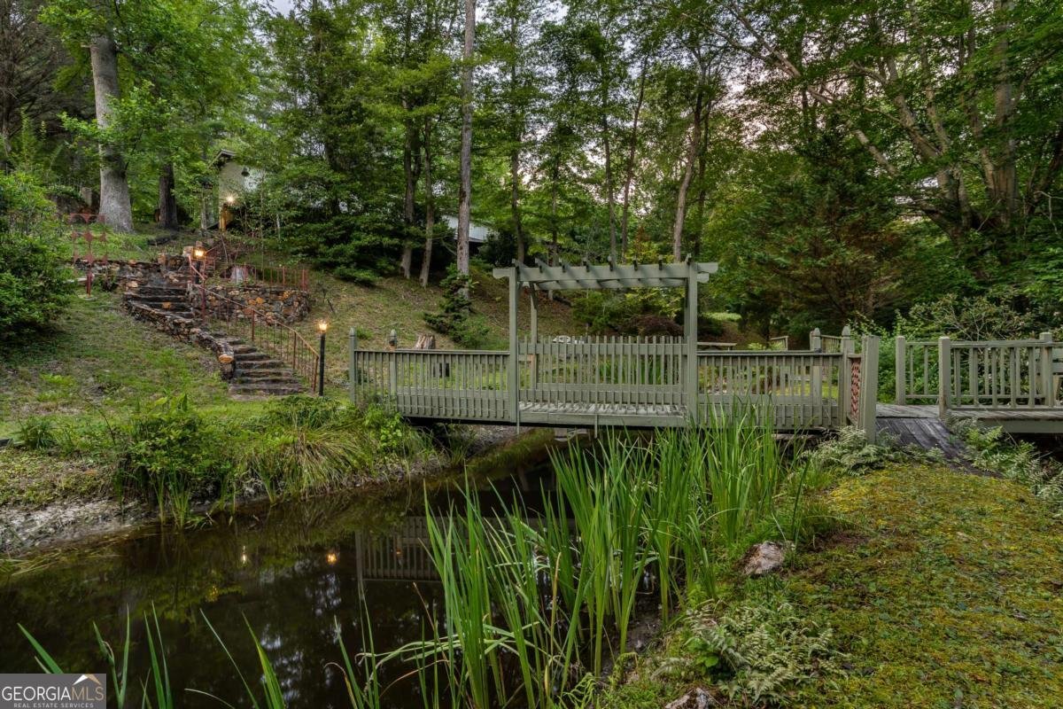 3515 Mulky Gap Road Blairsville - 34