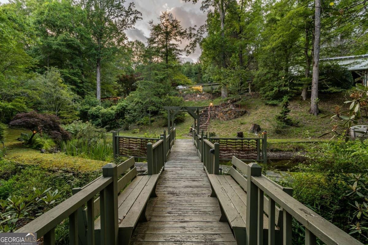 3515 Mulky Gap Road Blairsville - 36