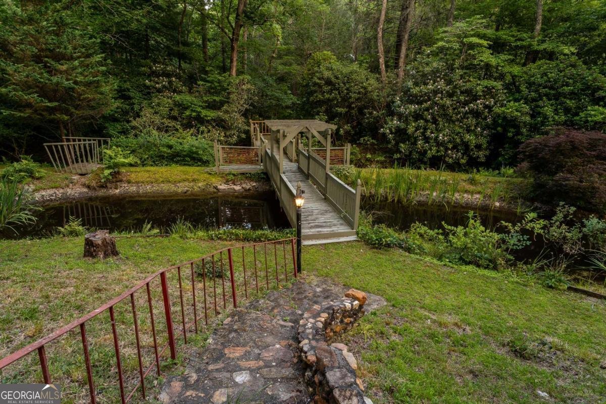 3515 Mulky Gap Road Blairsville - 38
