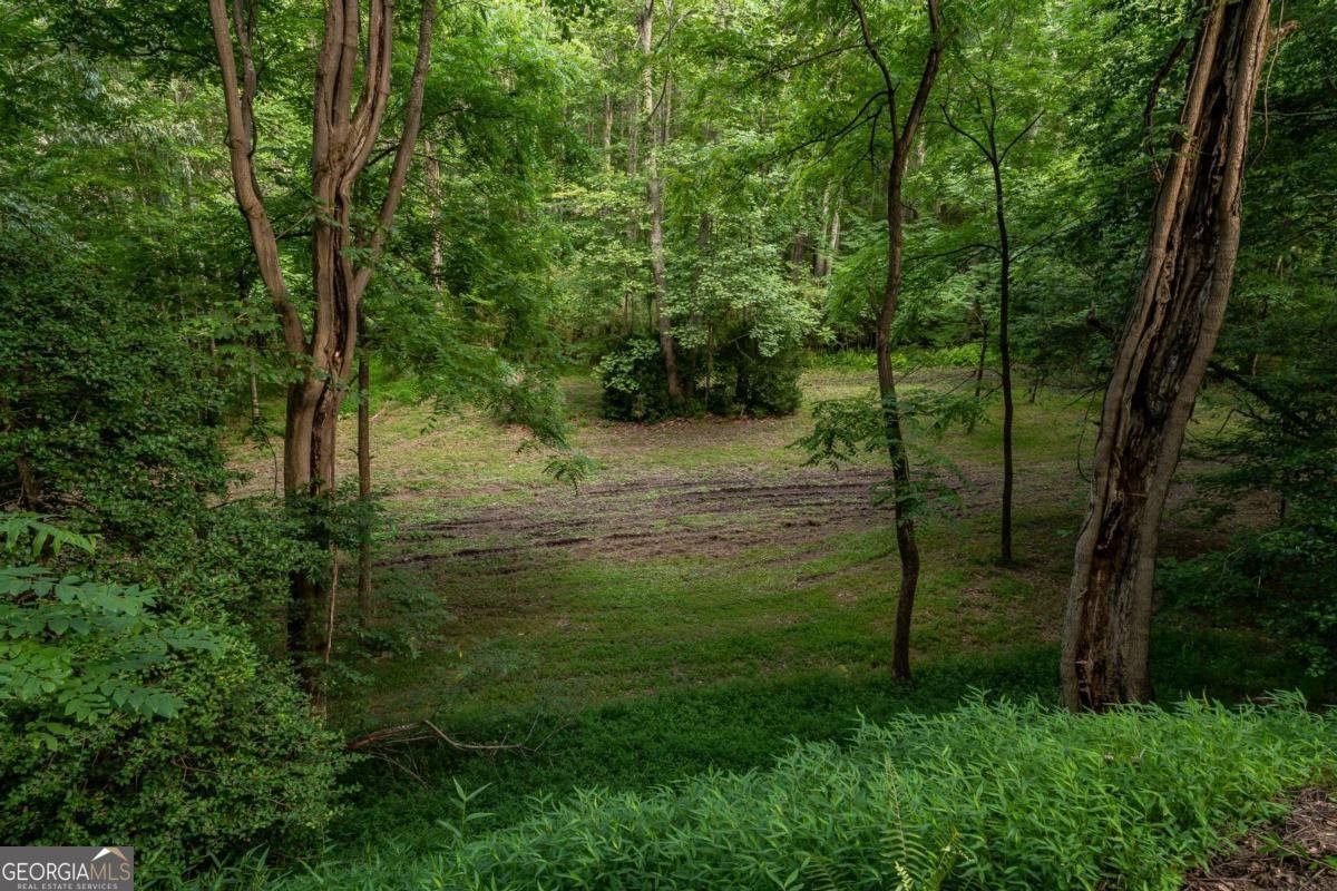 3515 Mulky Gap Road Blairsville - 44