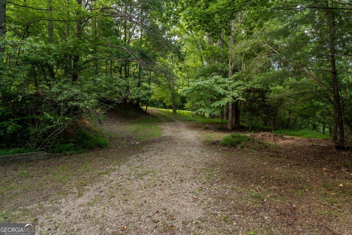 3515 Mulky Gap Road Blairsville - 45