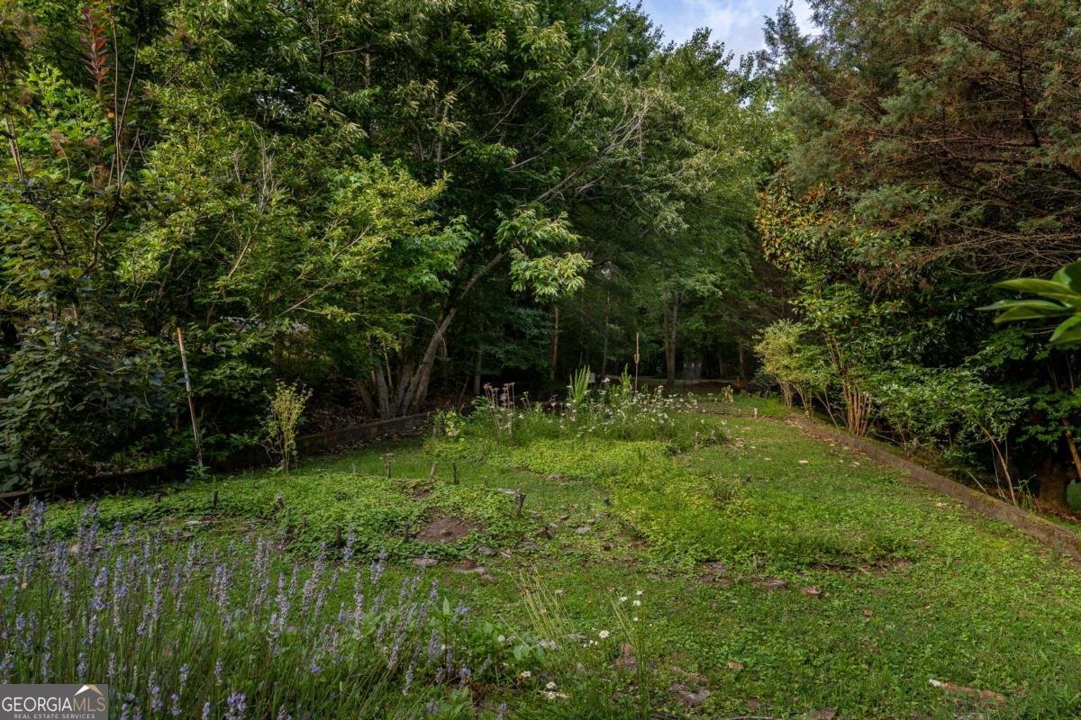 3515 Mulky Gap Road Blairsville - 47