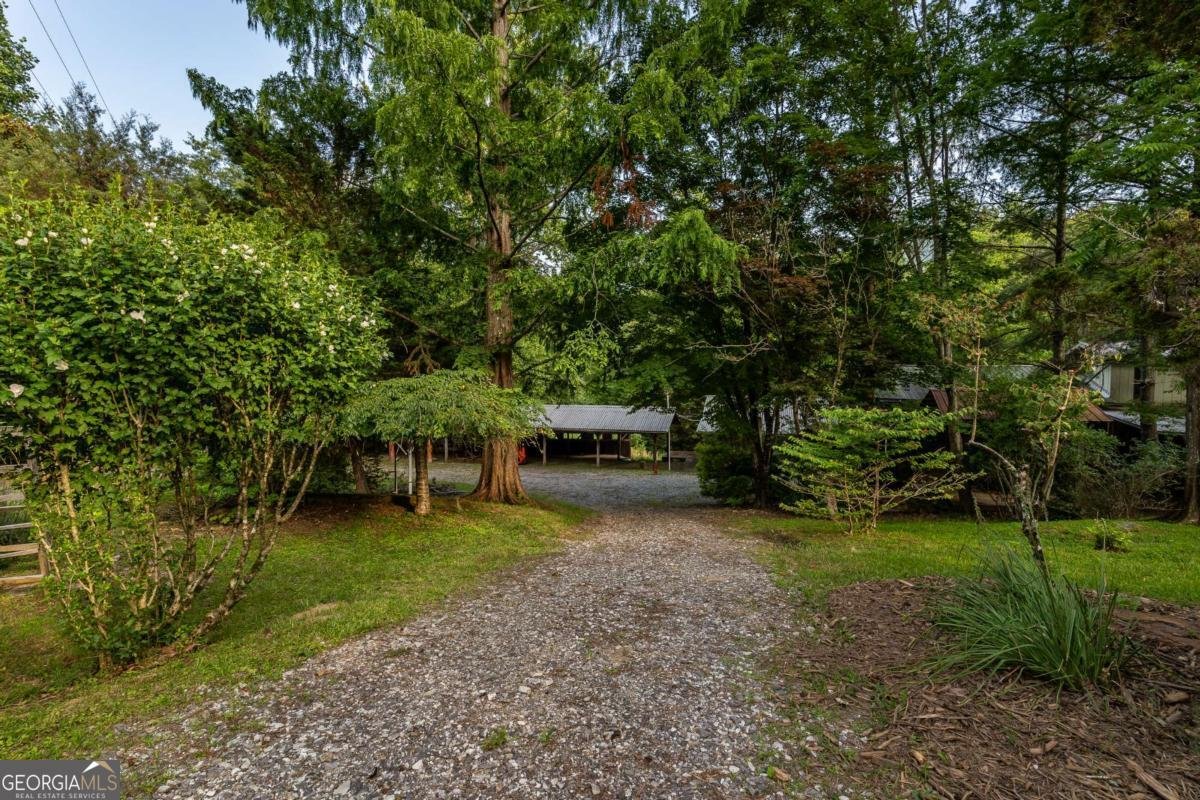 3515 Mulky Gap Road Blairsville - 68