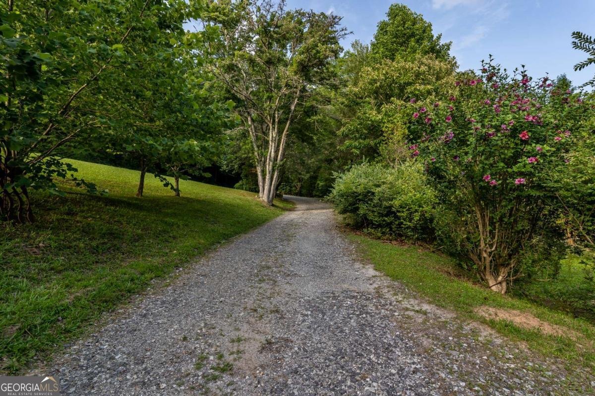 3515 Mulky Gap Road Blairsville - 71