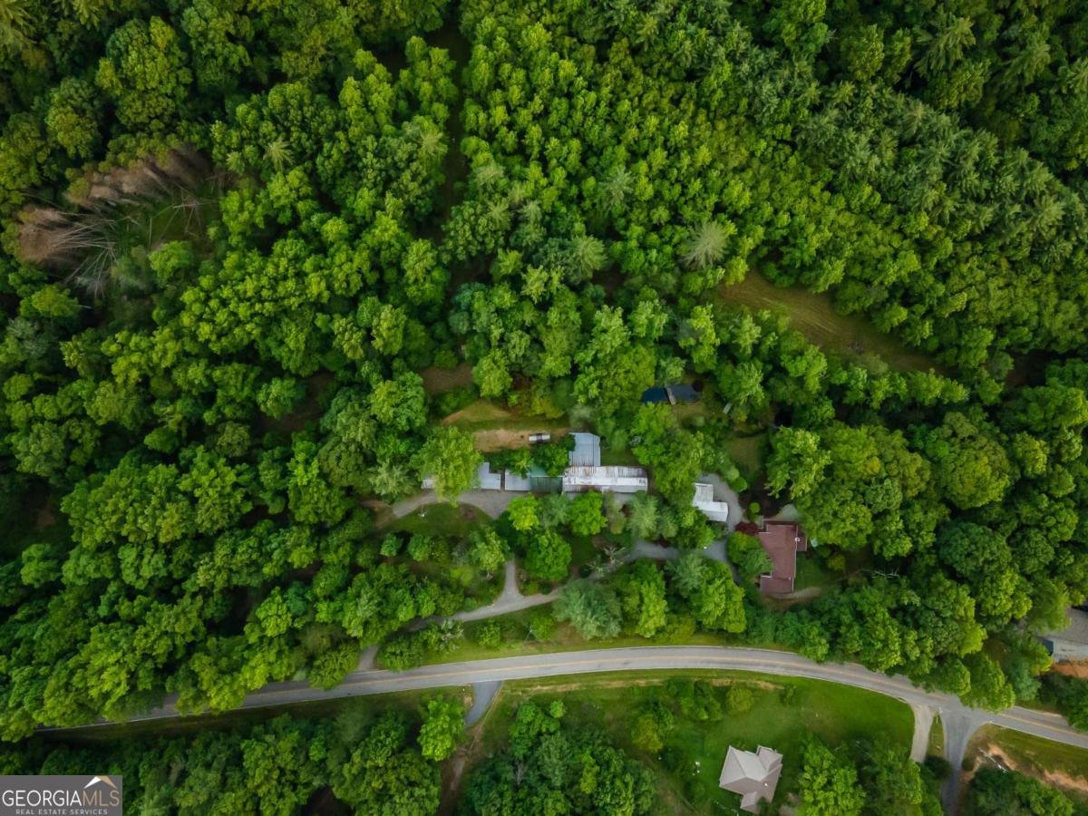3515 Mulky Gap Road Blairsville - 72