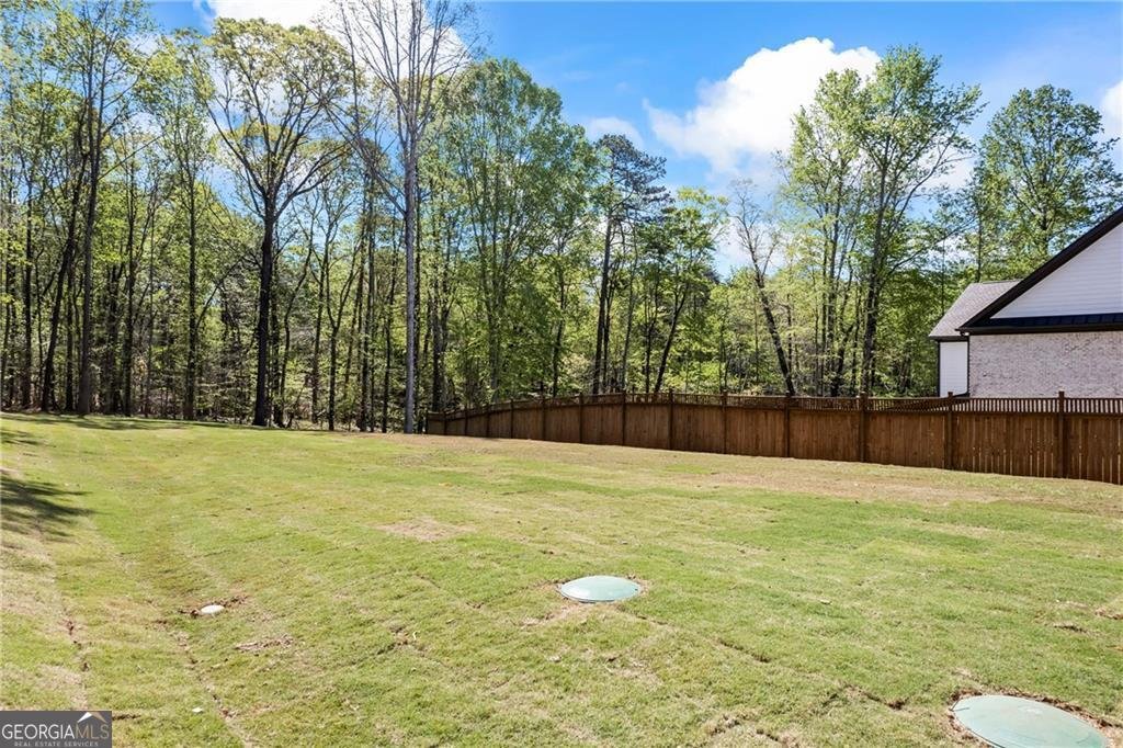 6238 Mount Salem Circle Flowery Branch - 20