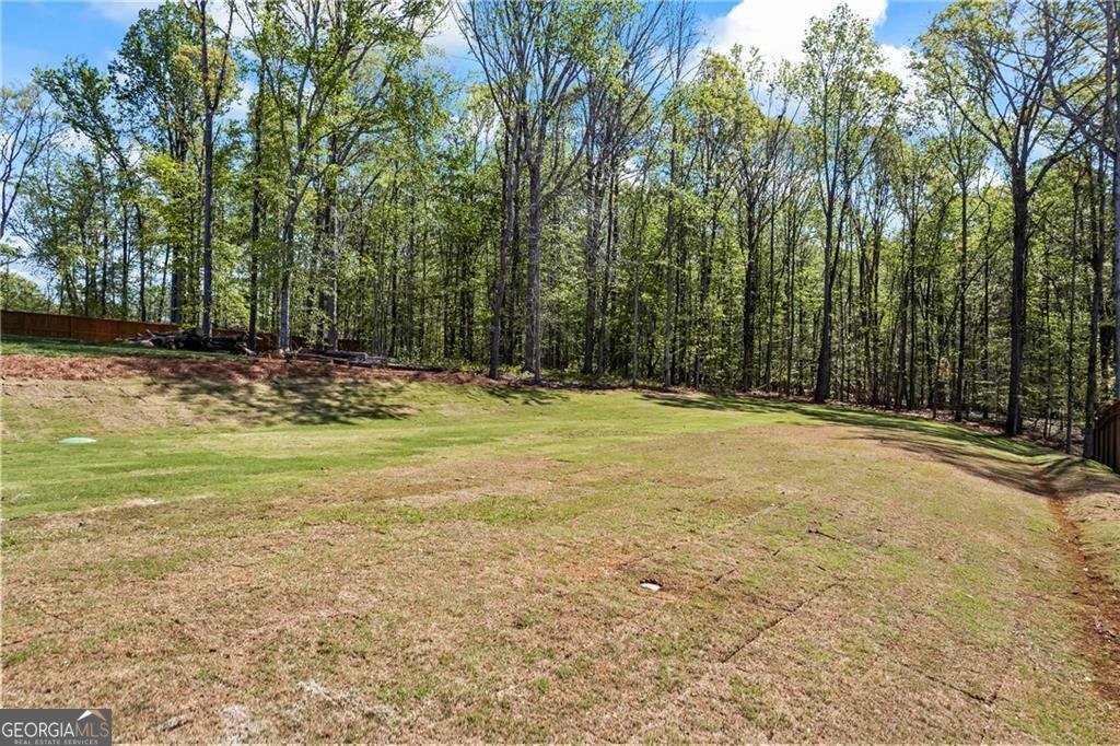 6238 Mount Salem Circle Flowery Branch - 21
