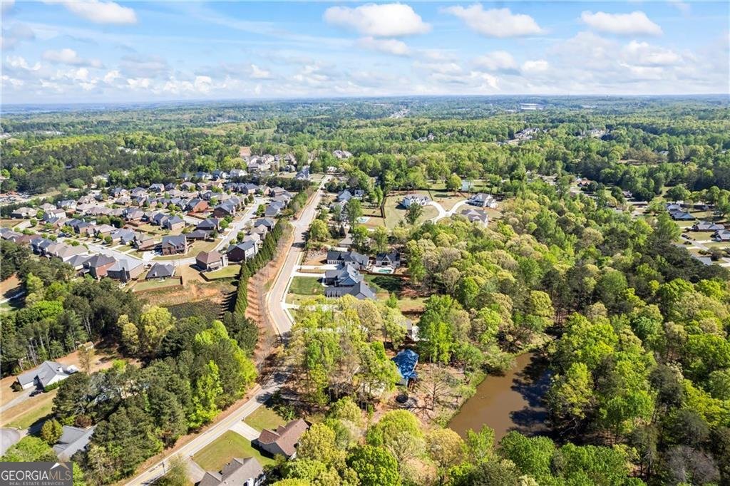 6238 Mount Salem Circle Flowery Branch - 25