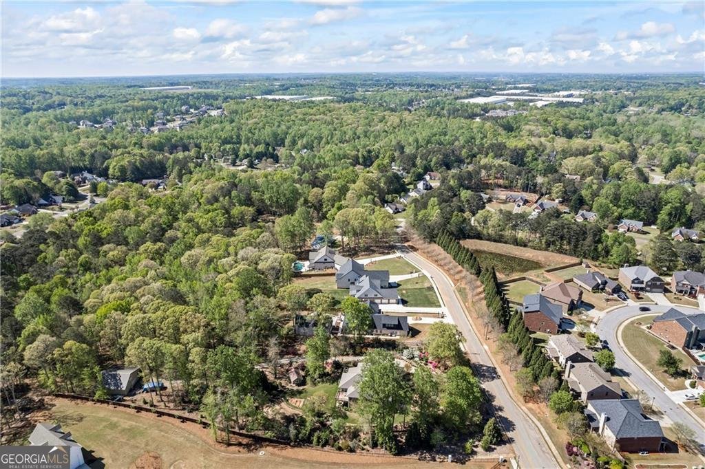 6238 Mount Salem Circle Flowery Branch - 27
