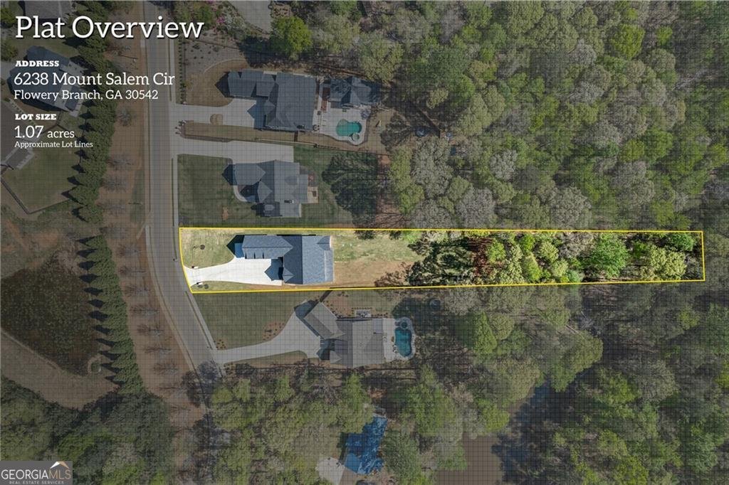 6238 Mount Salem Circle Flowery Branch - 51