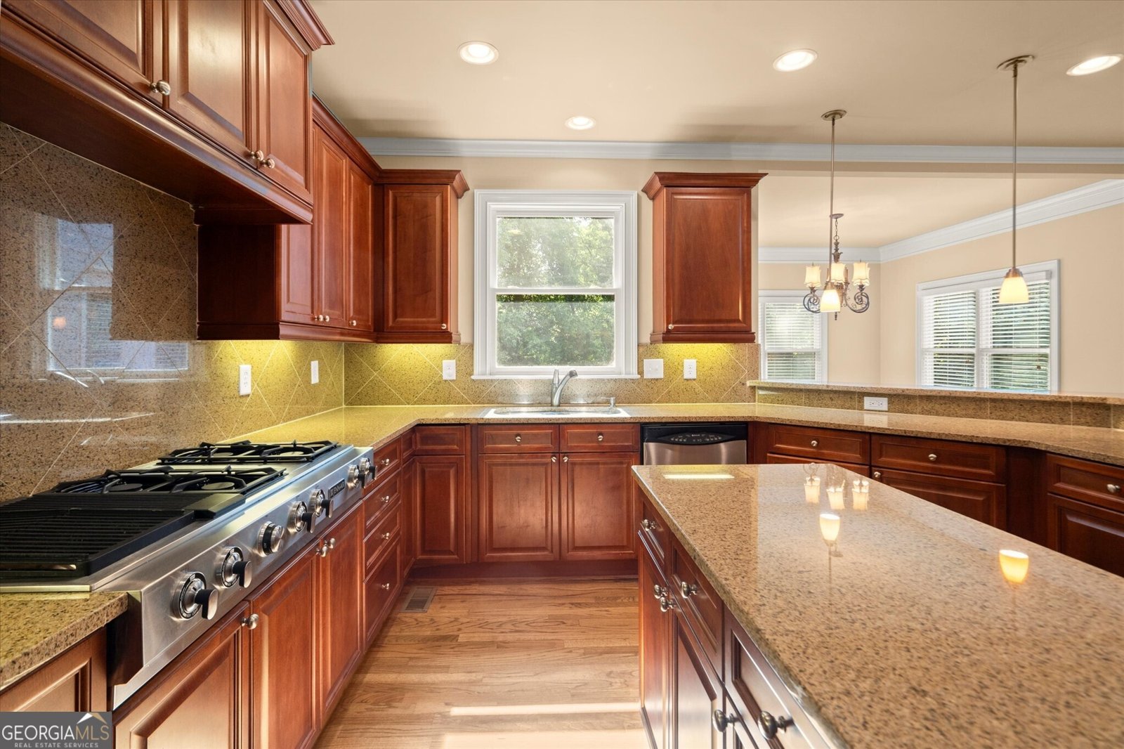 10565 Highgate Manor Court Duluth - 15