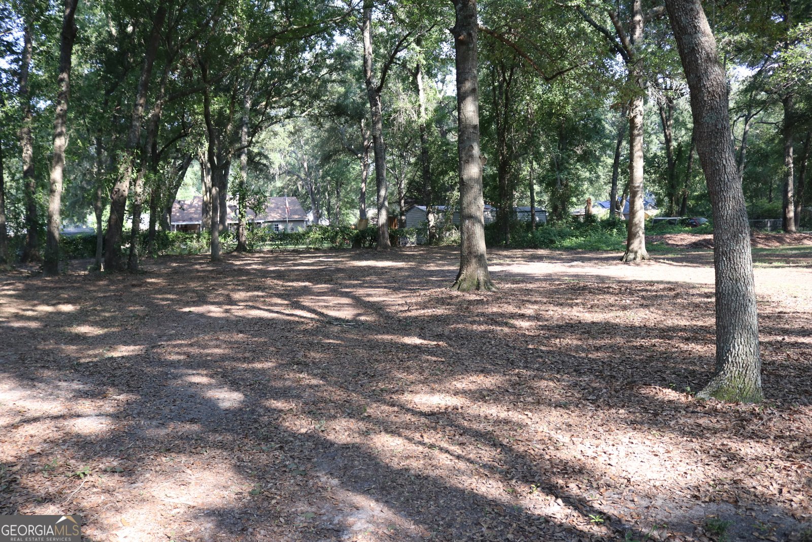 213 Victoria Circle Guyton - 5