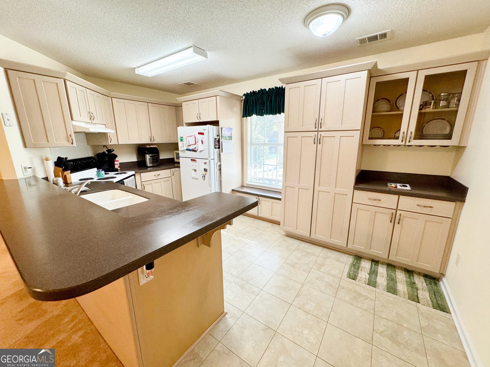 213 Victoria Circle Guyton - 9