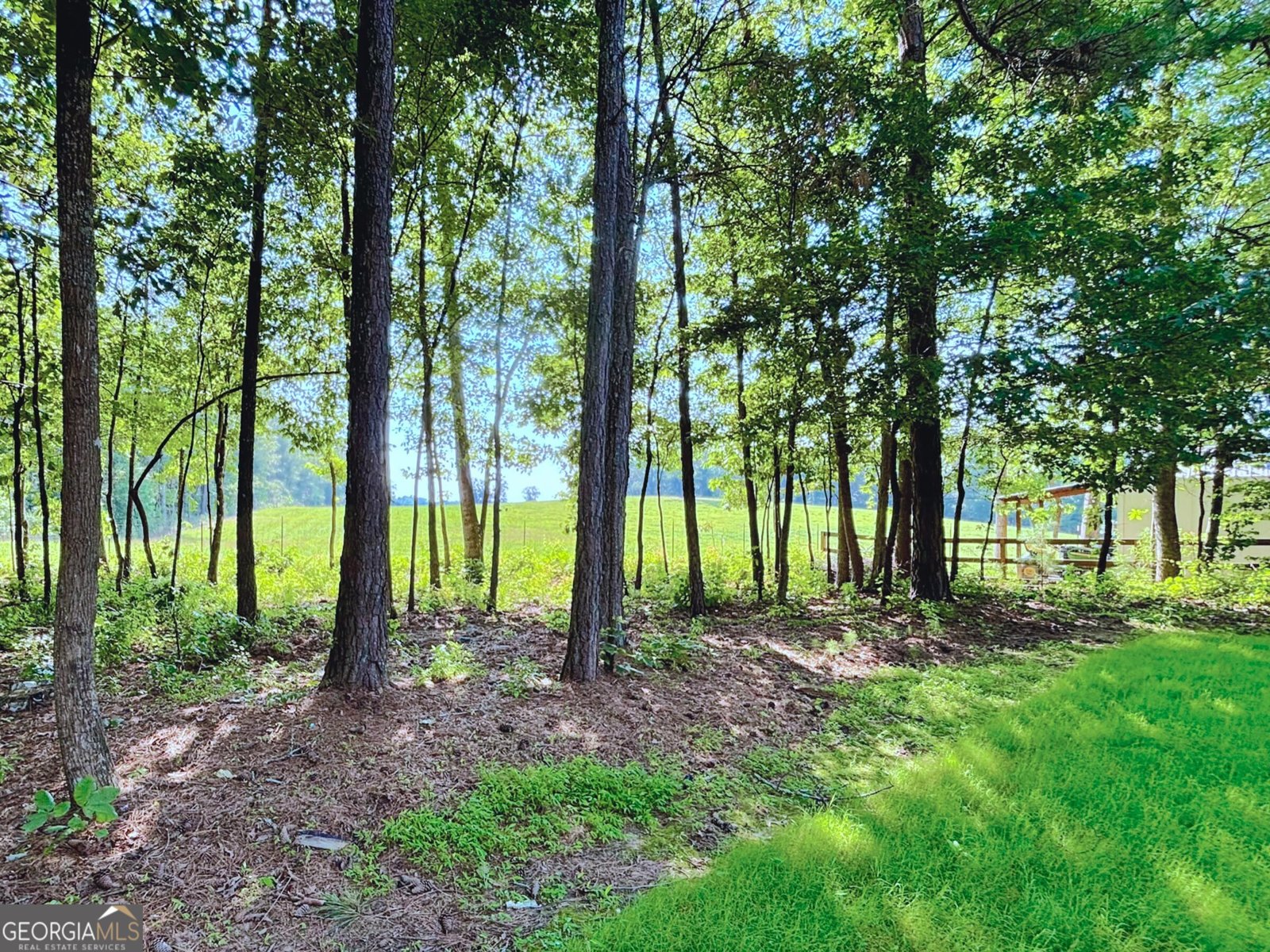413 Old Brock Road Rockmart - 23