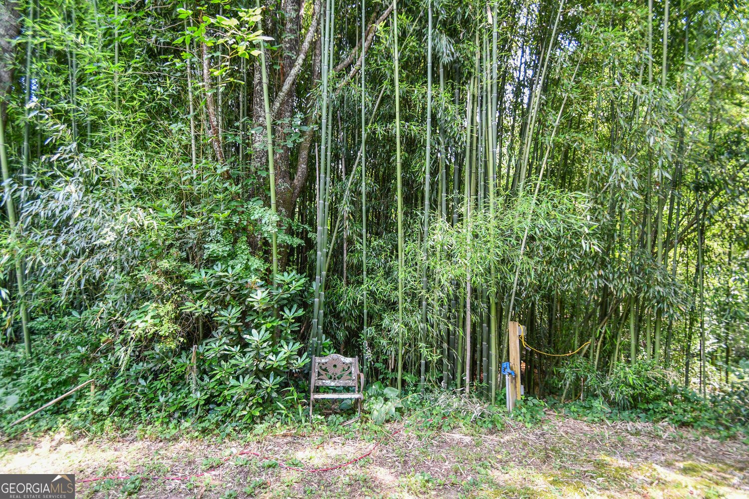 501 The Orchard Road Clarkesville - 29