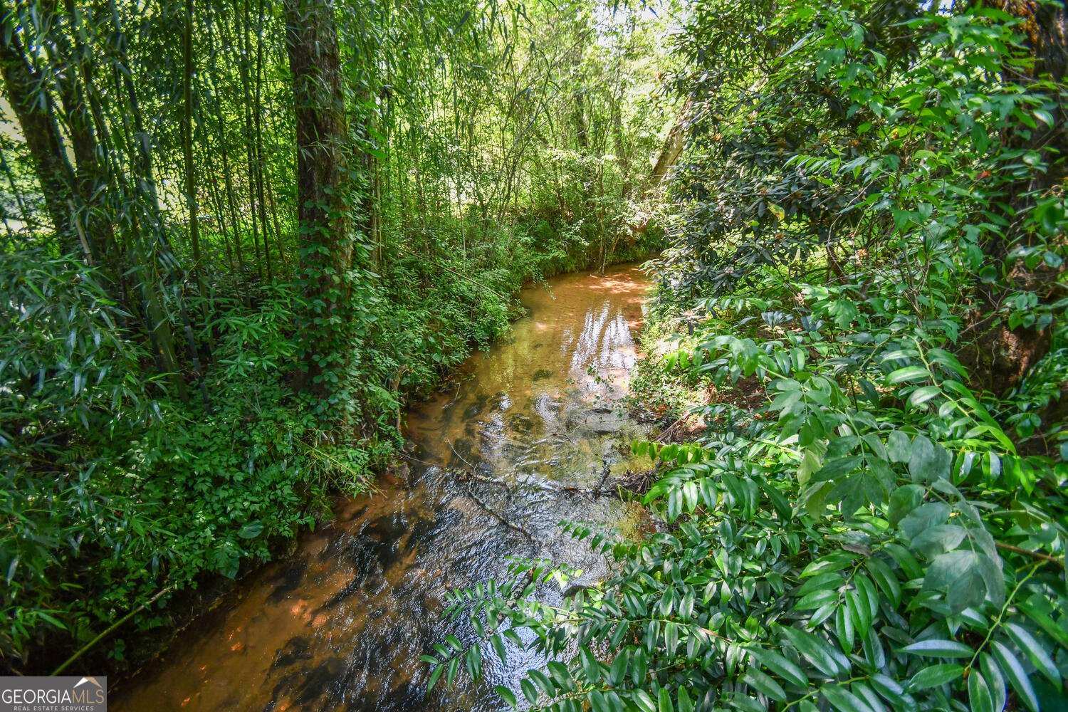 501 The Orchard Road Clarkesville - 46
