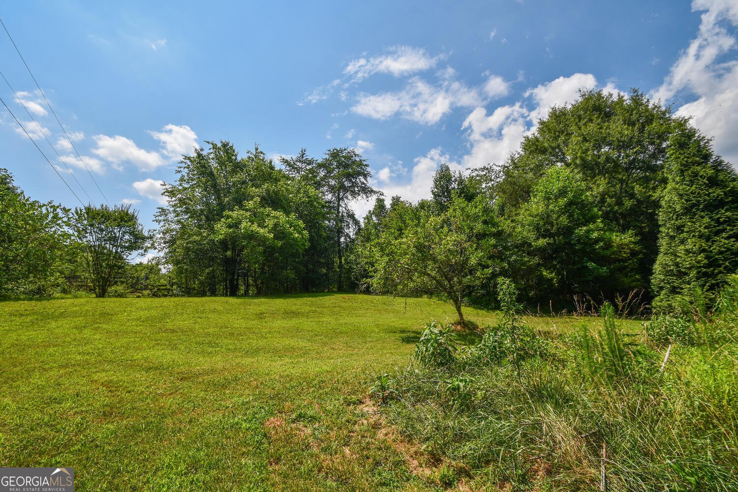501 The Orchard Road Clarkesville - 50