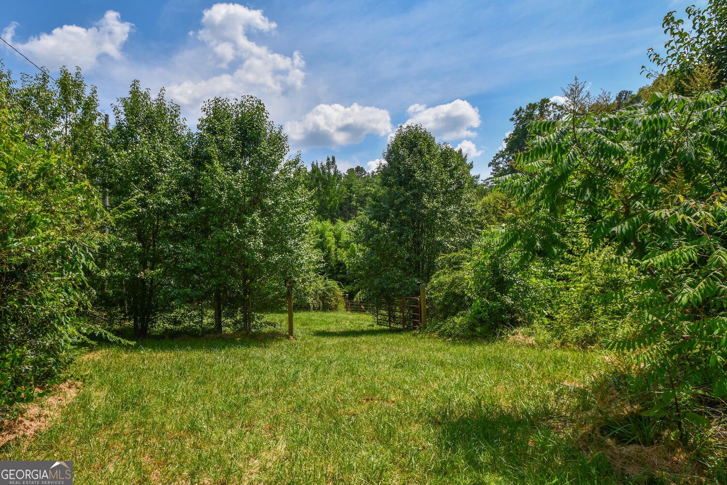 501 The Orchard Road Clarkesville - 58