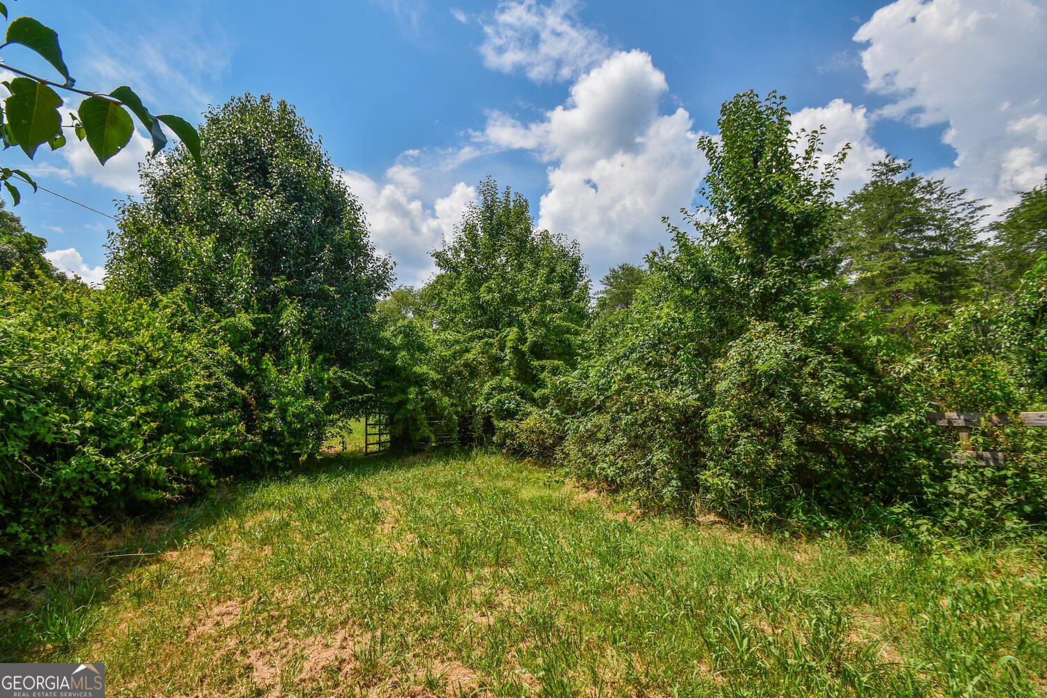 501 The Orchard Road Clarkesville - 62