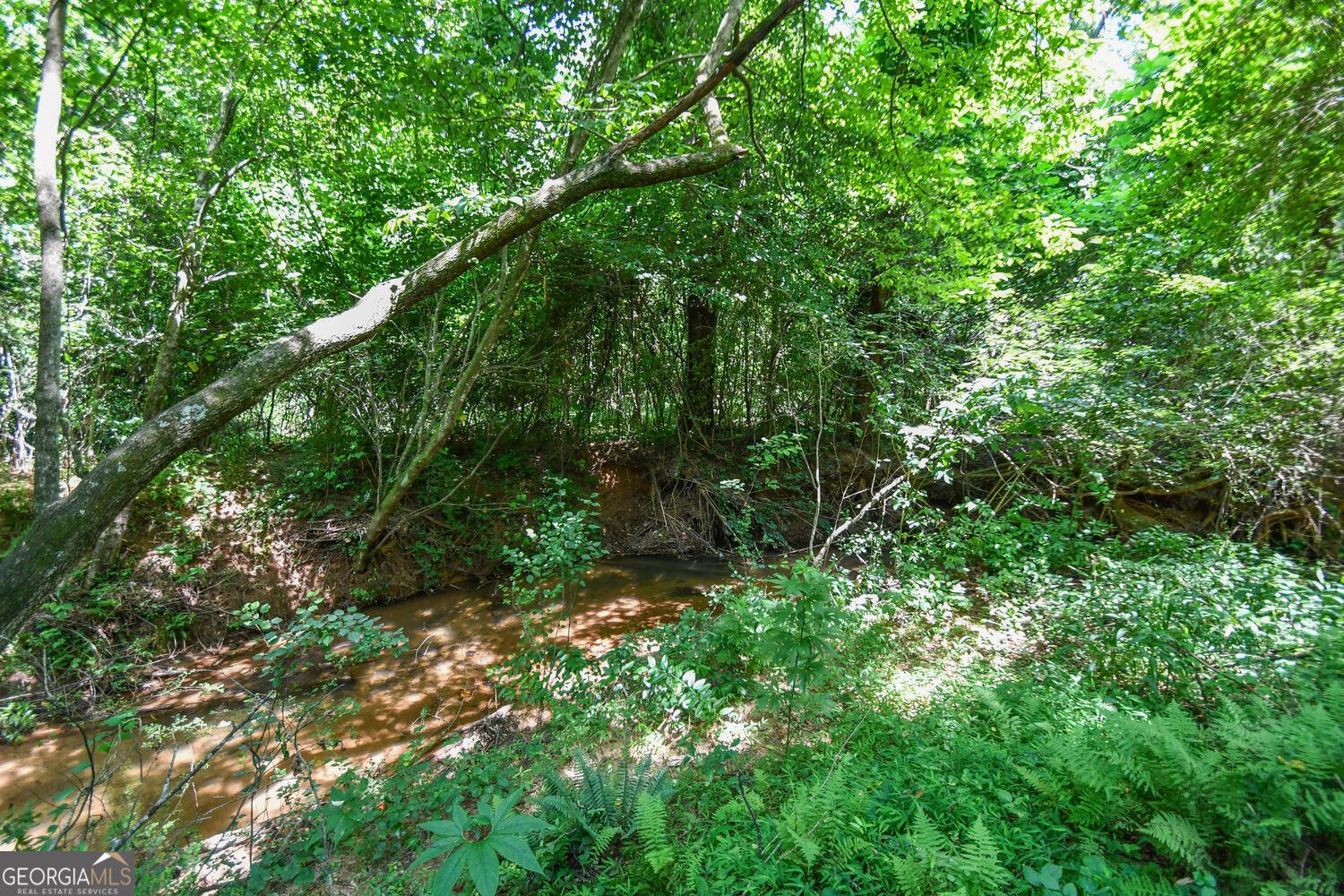 501 The Orchard Road Clarkesville - 65