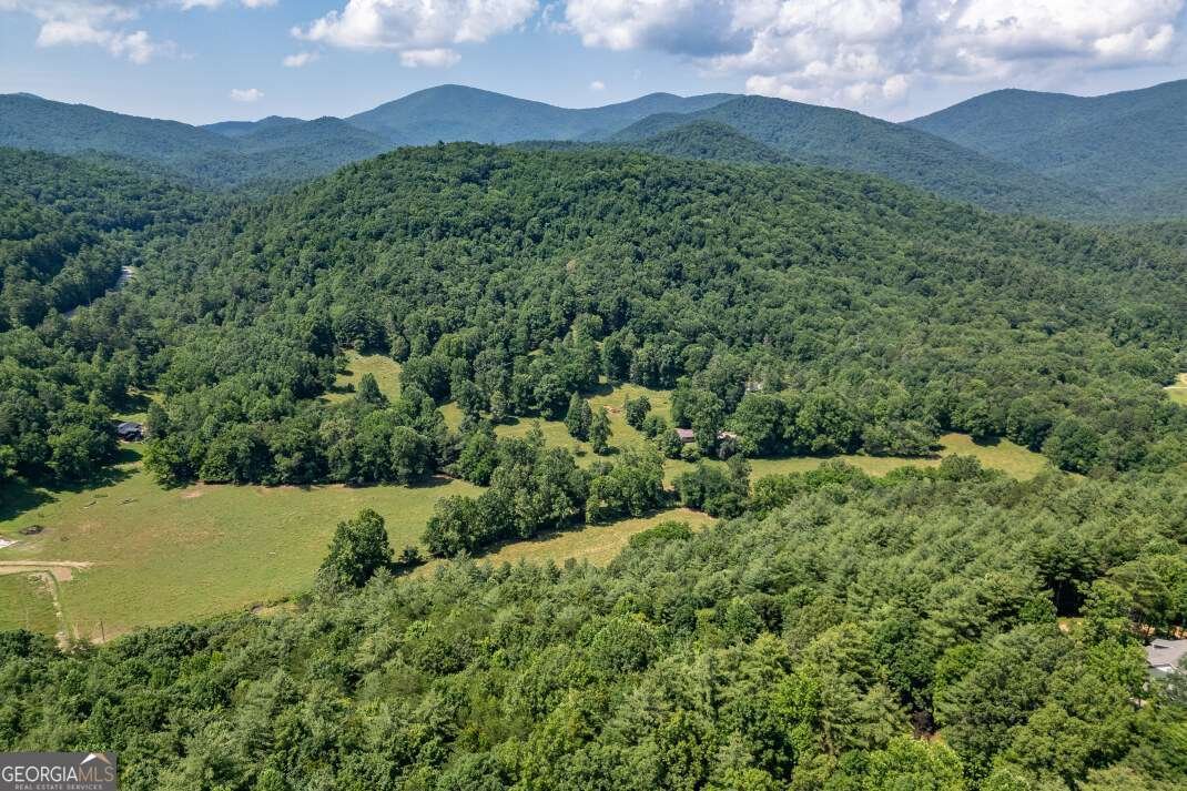 404 Earney Road Blairsville - 1