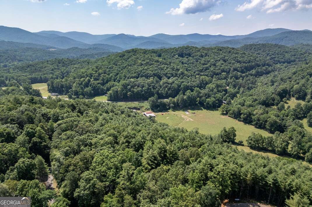 404 Earney Road Blairsville - 2