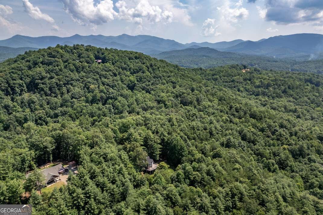404 Earney Road Blairsville - 3