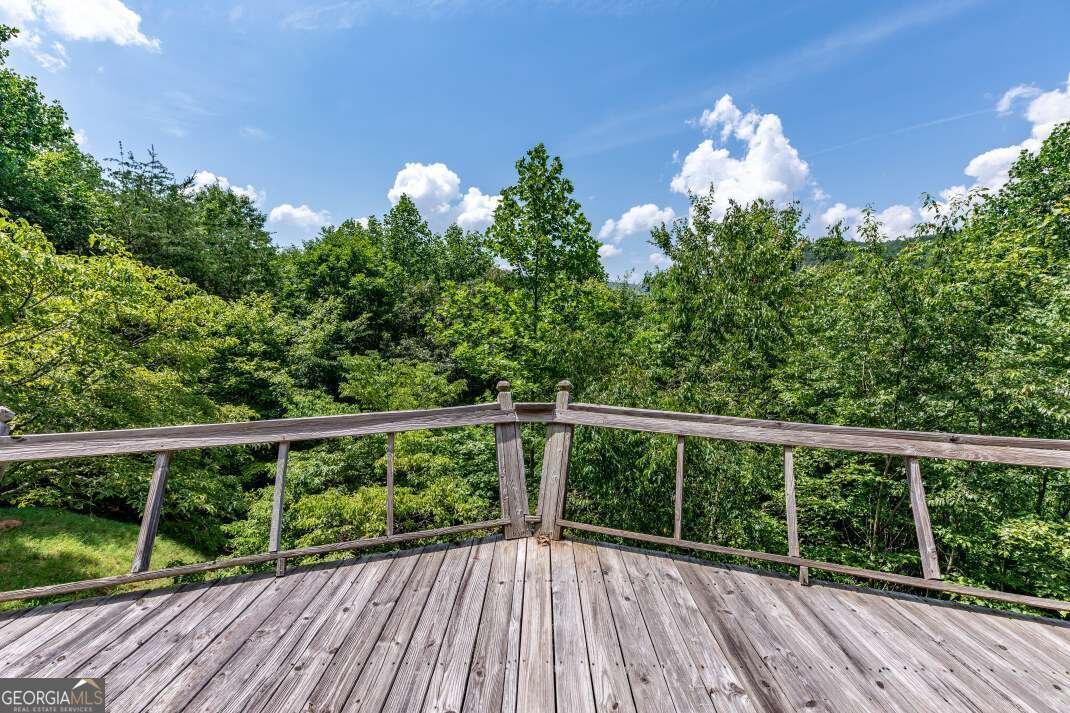 404 Earney Road Blairsville - 51