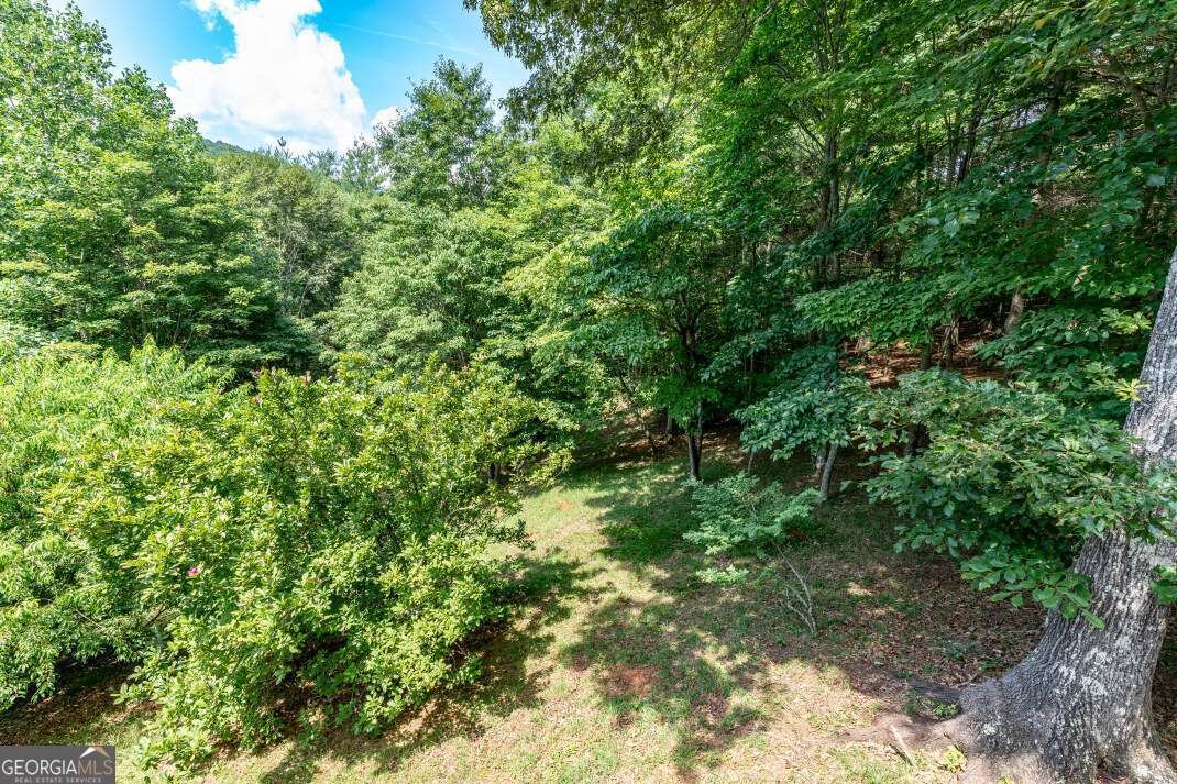 404 Earney Road Blairsville - 53