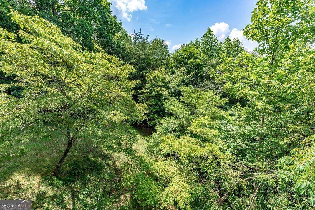 404 Earney Road Blairsville - 54