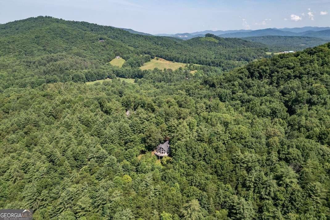404 Earney Road Blairsville - 59