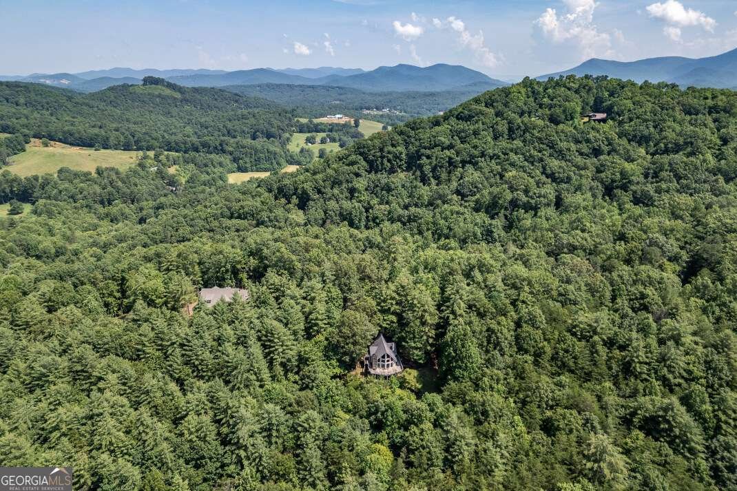 404 Earney Road Blairsville - 60